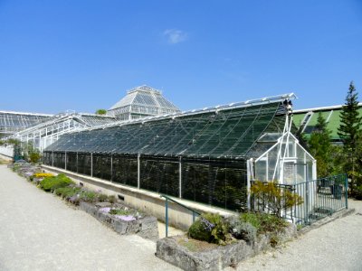 Botanischer Garten München-Nymphenburg - DSC07909