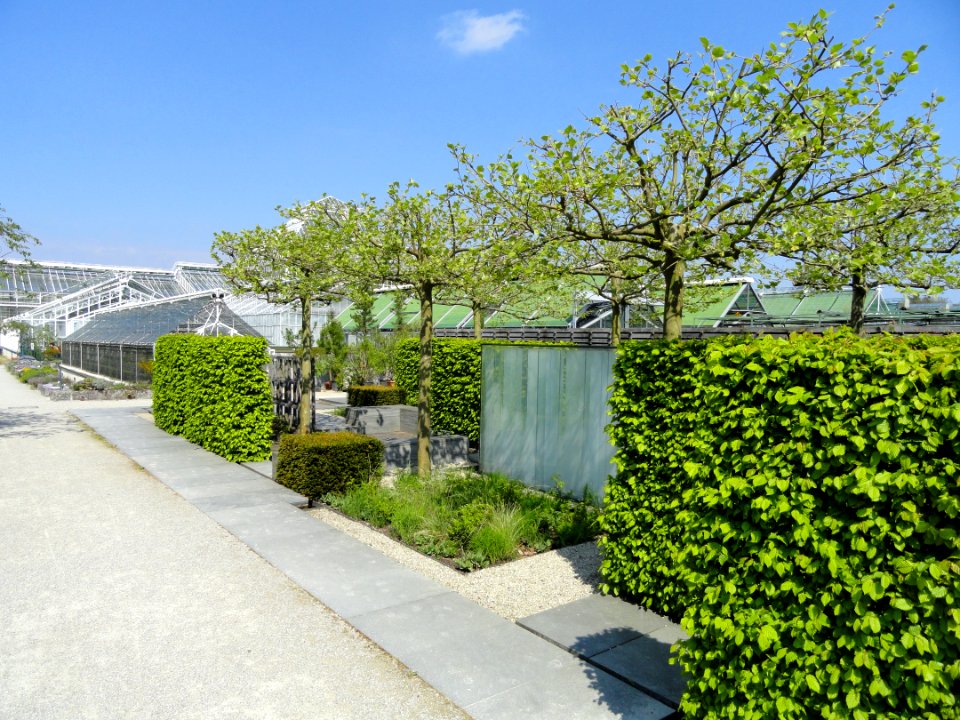 Botanischer Garten München-Nymphenburg - DSC07908