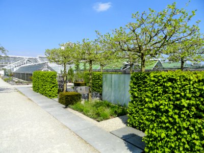 Botanischer Garten München-Nymphenburg - DSC07908