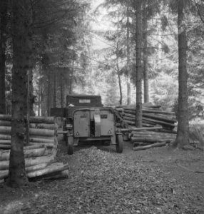 Bosbewerking, boomstammen, auto's, aanhangers, Bestanddeelnr 253-5151