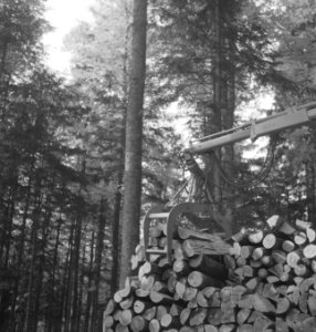 Bosbewerking, boomstammen, takels, werkzaamheden, Bestanddeelnr 253-5132
