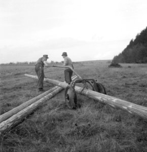 Bosbewerking, boomstammen, werktuigen, arbeiders, Bestanddeelnr 251-7991