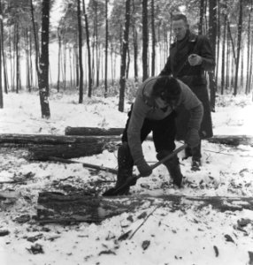 Bosbewerking, arbeiders, werkzaamheden, sneeuw, Bestanddeelnr 251-8361
