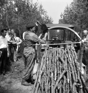 Bosbewerking, boomstammen, machines, werktuigen, Bestanddeelnr 253-6026