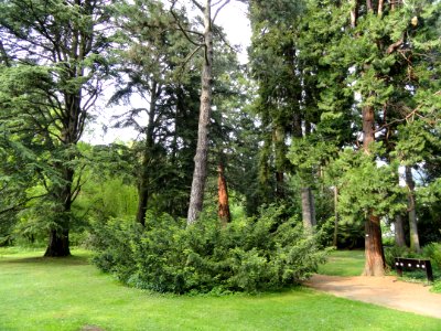 Botanischer Garten Freiburg - DSC06473