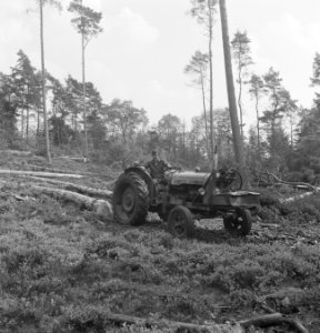 Bosbewerking, boomstammen, landbouwmachines, werktuigen, arbeiders, sleepwerkzaa, Bestanddeelnr 253-5505