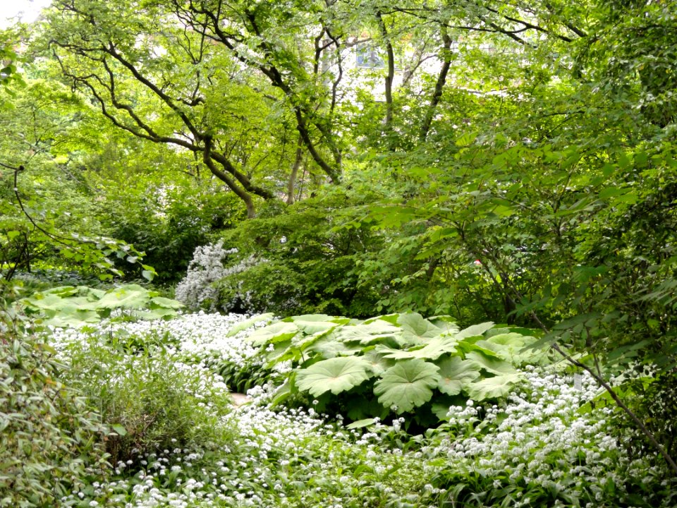 Botanischer Garten Freiburg - DSC06488