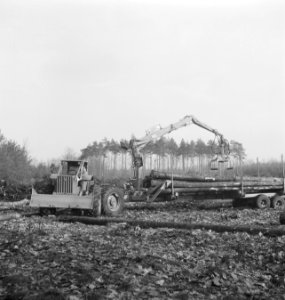 Bosbewerking, landbouwmachines, werktuigen, arbeiders, boomstammen, aanhangers, , Bestanddeelnr 253-5679