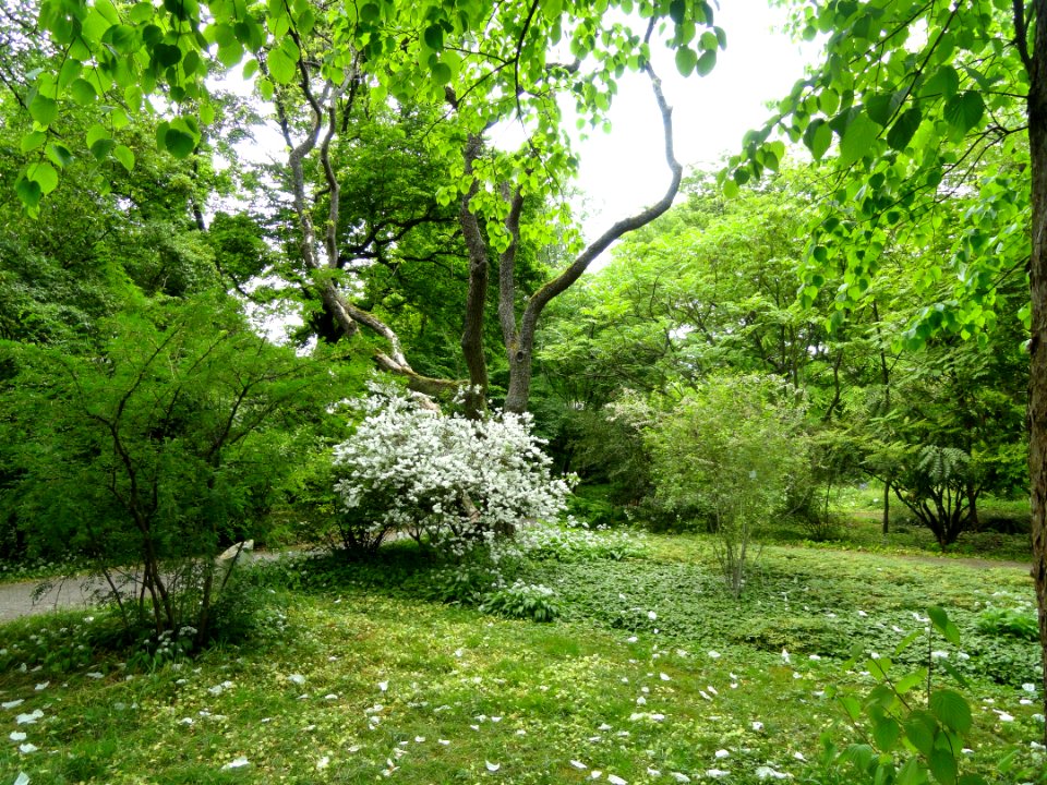 Botanischer Garten Freiburg - DSC06485