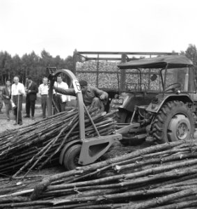 Bosbewerking, boomstammen, landbouwmachines, werktuigen, Tractors, Bestanddeelnr 253-6030