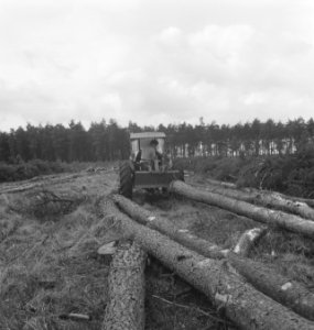 Bosbewerking, boomstammen, landbouwmachines, werktuigen, Tractors, Bestanddeelnr 253-5751