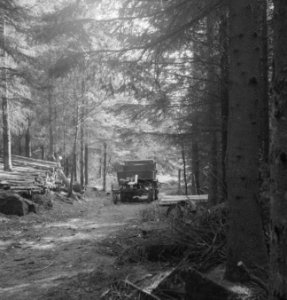 Bosbewerking, boomstammen, machines, werktuigen, bomen vellen, Bestanddeelnr 253-5146