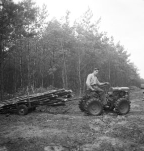 Bosbewerking, landbouwmachines, werktuigen, arbeiders, Tractors, Bestanddeelnr 251-8955