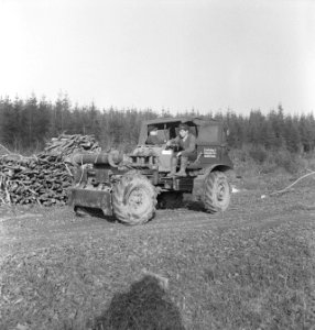 Bosbewerking, boomstammen, machines, werktuigen, Bestanddeelnr 251-9028