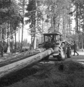 Bosbewerking, landbouwmachines, werktuigen, arbeiders, boomstammen, sleepwerkzaa, Bestanddeelnr 253-5105