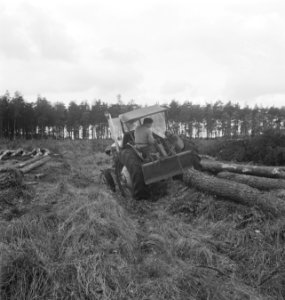 Bosbewerking, boomstammen, landbouwmachines, werktuigen, Tractors, Bestanddeelnr 253-5752