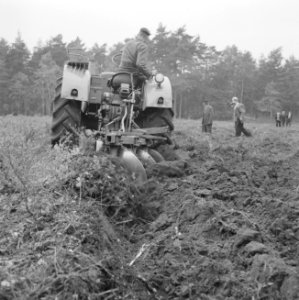 Bosbewerking, grondbewerking, landbouwmachines, Tractors, Bestanddeelnr 251-9525