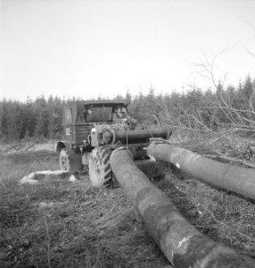 Bosbewerking, boomstammen, machines, werktuigen, duwen, Bestanddeelnr 251-9027