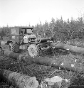 Bosbewerking, boomstammen, machines, werktuigen, duwen, Bestanddeelnr 251-9025