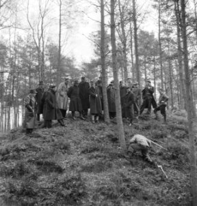 Bosbewerking, arbeiders, werkzaamheden, toeschouwers, Bestanddeelnr 251-8091