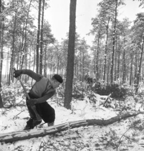 Bosbewerking, arbeiders, werkzaamheden, sneeuw, Bestanddeelnr 251-8365