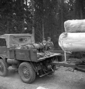 Bosbewerking, boswegen, auto's, boomstammen, vervoeren, Bestanddeelnr 251-8817