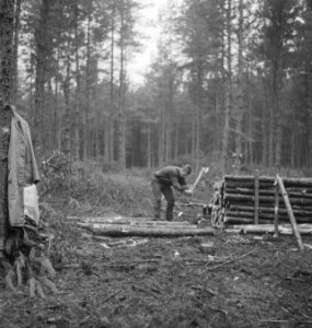 Bosbewerking, boomstammen, arbeiders, gereedschappen, beilen, Bestanddeelnr 253-5790