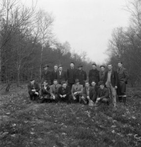Bosbewerking, bossen, mannen, groepsfoto's, Bestanddeelnr 251-7791