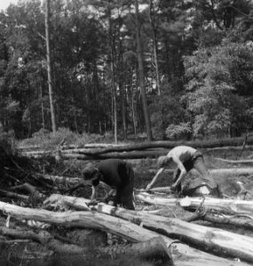 Bosbewerking, boomstammen, arbeiders, werkzaamheden, gereedschappen, Bestanddeelnr 253-5822