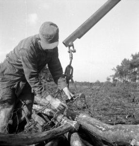 Bosbewerking, arbeiders, boomstammen, Bestanddeelnr 251-9733