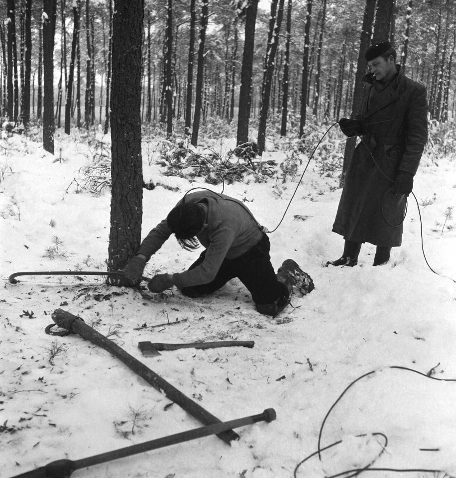 Bosbewerking, arbeiders, werkzaamheden, touwen, sneeuw, Bestanddeelnr 251-8356