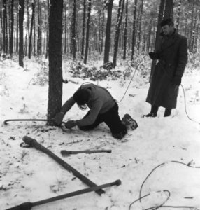 Bosbewerking, arbeiders, werkzaamheden, touwen, sneeuw, Bestanddeelnr 251-8356