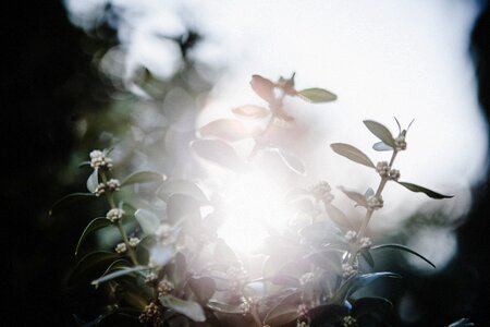 Nature life warmth