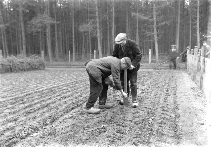 Bosaanleg en kwekerij, arbeiders, verspenen, douglas, Bestanddeelnr 192-1079