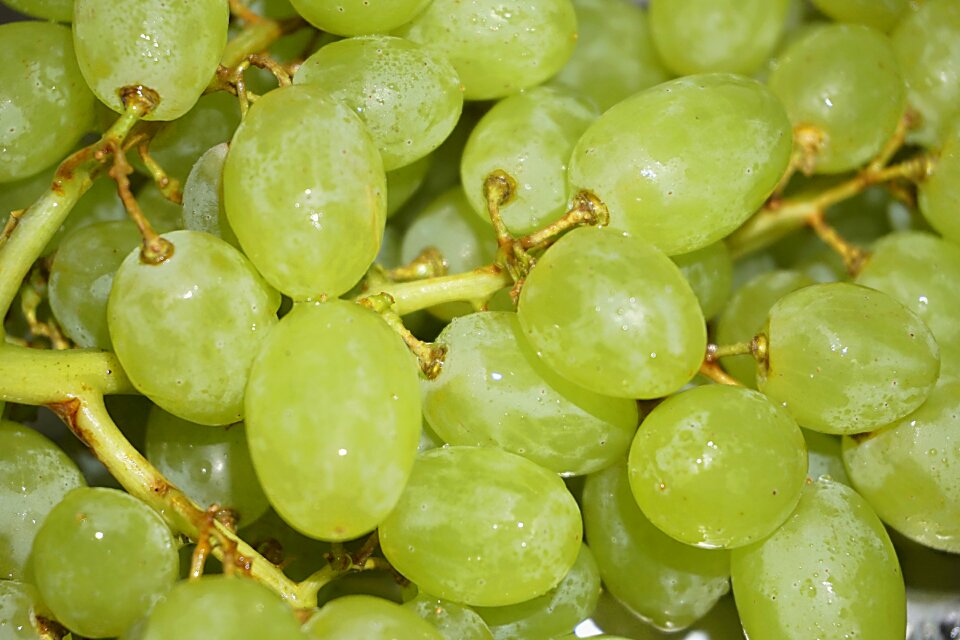 Food nature grains