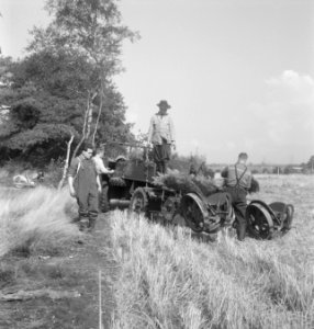 Bosbewerking, arbeiders, struiken, werkzaamheden, Bestanddeelnr 251-9200