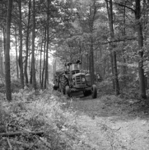 Bosbewerking, landbouwmachines, werktuigen, aanhangers, Tractors, Bestanddeelnr 253-5214