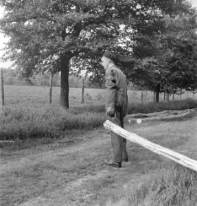 Bosbewerking, arbeiders, boomstammen, Bestanddeelnr 251-7399