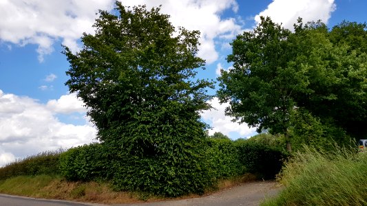 Bommerig-wegkruis Bommerigerweg-Weyerweg (3)