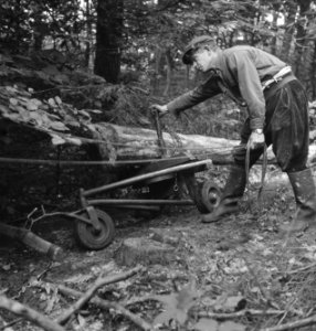 Bosbewerking, boomstammen, vervoeren, arbeiders, karren, Bestanddeelnr 251-8554