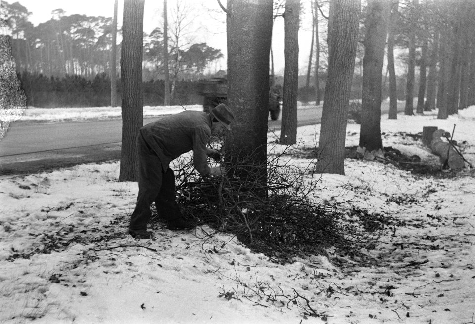 Bomen vellen in Amersfoort, Bestanddeelnr 902-0586