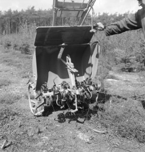 Bossen, machines, werktuigen, arbeiders, Bestanddeelnr 251-7432