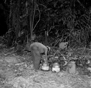 Boslandcreolen met Esso-oliedrums bij houtafval, Bestanddeelnr 252-4883