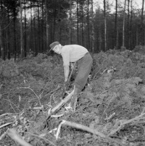 Bosbewerking, arbeiders, gereedschappen, struiken, Bestanddeelnr 251-9114
