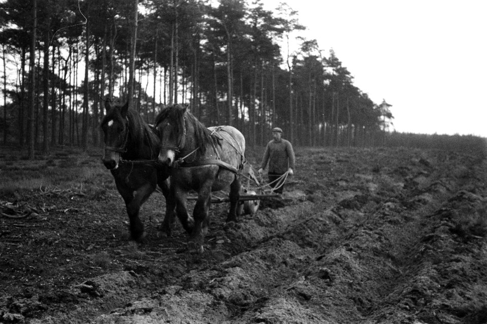 Bosbewerking, bosploegen, arbeiders, paarden, gepas no 3, Bestanddeelnr 170-0986
