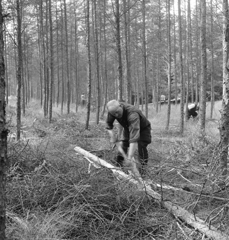Bosbewerking, arbeiders, werkzaamheden, gereedschappen, Bestanddeelnr 251-8194
