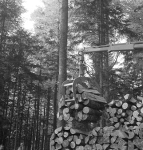 Bosbewerking, boomstammen, takels, werkzaamheden, Bestanddeelnr 253-5131
