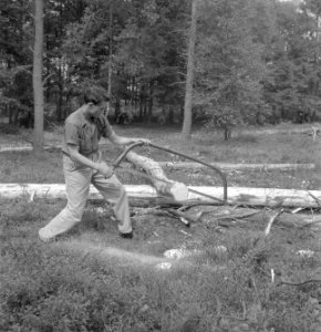 Bosbewerking, arbeiders, gereedschappen, zagen, Bestanddeelnr 251-7866