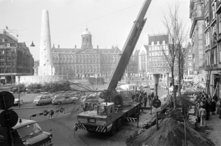 Bomen geplant op Dam in Amsterdam op initiatief van het comite Groene Hart o, Bestanddeelnr 928-2672
