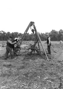 Bosbewerking, arbeiders, stompenrooiers, Bestanddeelnr 192-1311